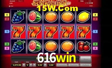 Security Systems 616win